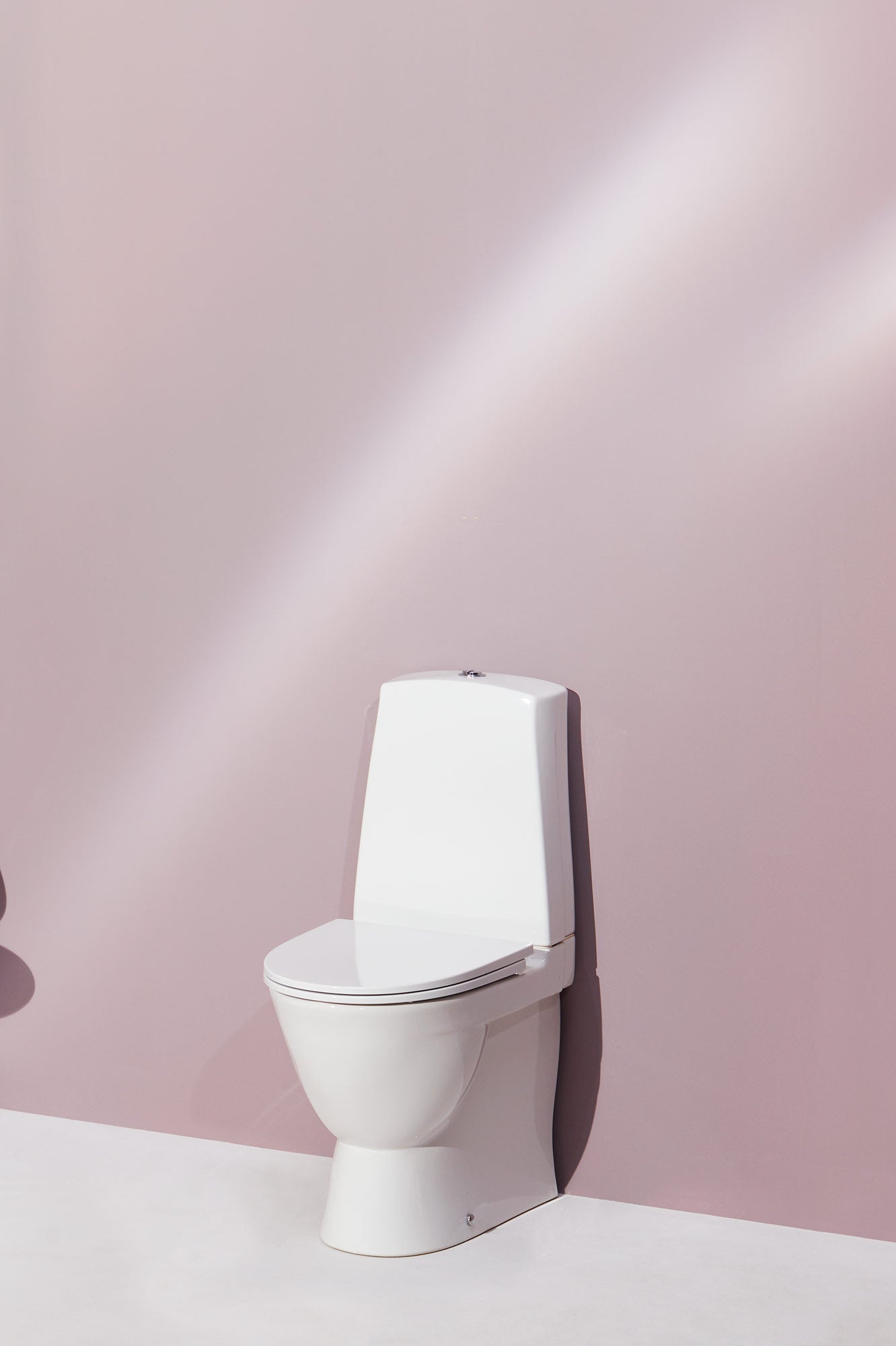 Laufen Toilet