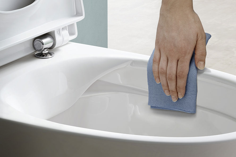 Laufen Toilet