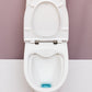 Laufen Toilet