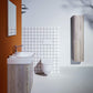 Laufen Toilet