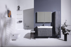 Laufen Toilet