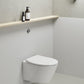 GSI toilet