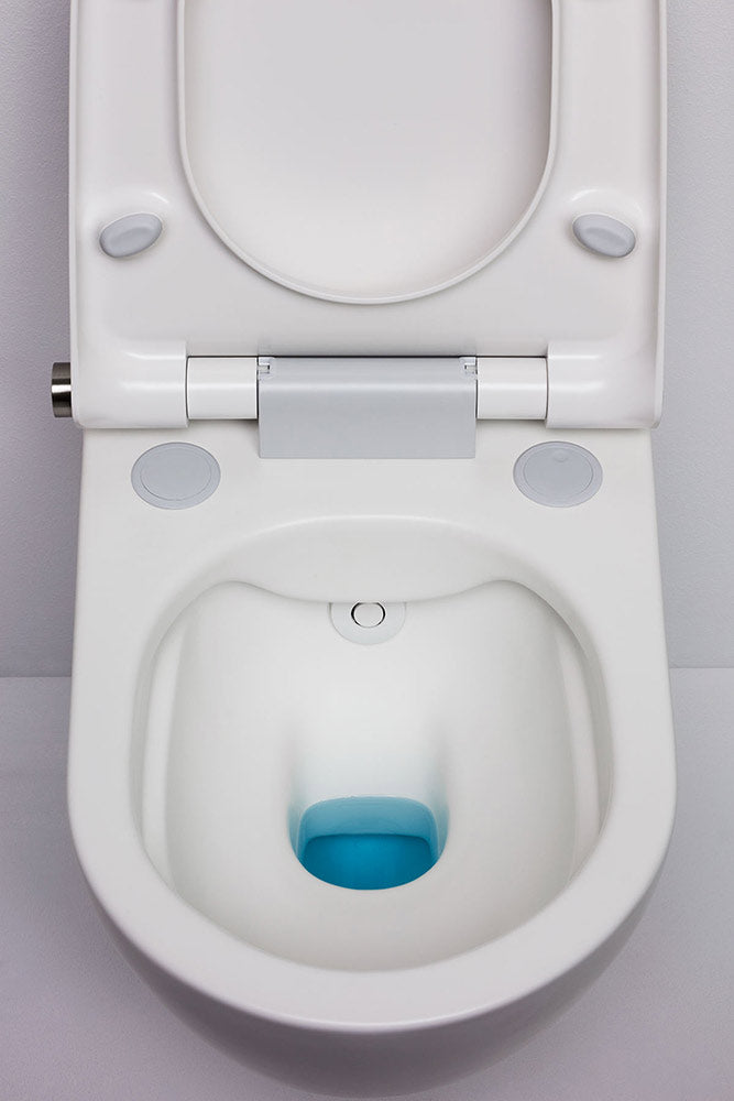 Laufen Toilet