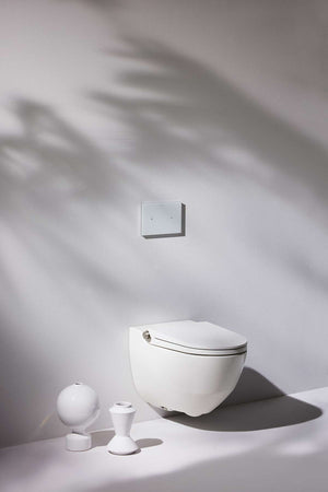 Laufen Toilet