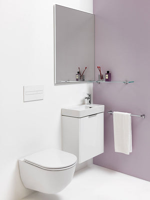 Laufen Toilet