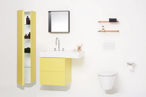 Laufen Toilet