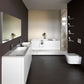 Laufen Toilet