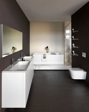 Laufen Toilet