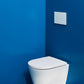 Laufen Toilet