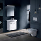 Laufen Toilet