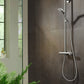 Hansgrohe Raindance brusesæt i krom 