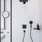 Hansgrohe Raindance Select S håndbruser 120 3jet, sort