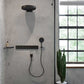 Hansgrohe AddStoris hjørnehylde