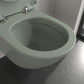 Villeroy & Boch Antao væghængt toilet, uden skyllekant, rengøringsvenlig, mat grøn