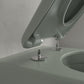 Villeroy & Boch Antao væghængt toilet, uden skyllekant, rengøringsvenlig, mat grøn