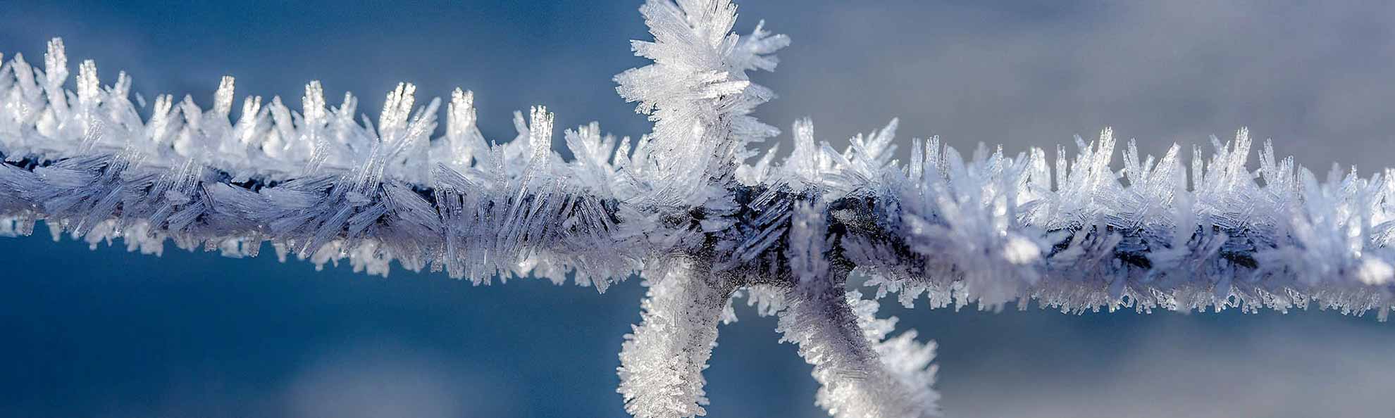 Frost