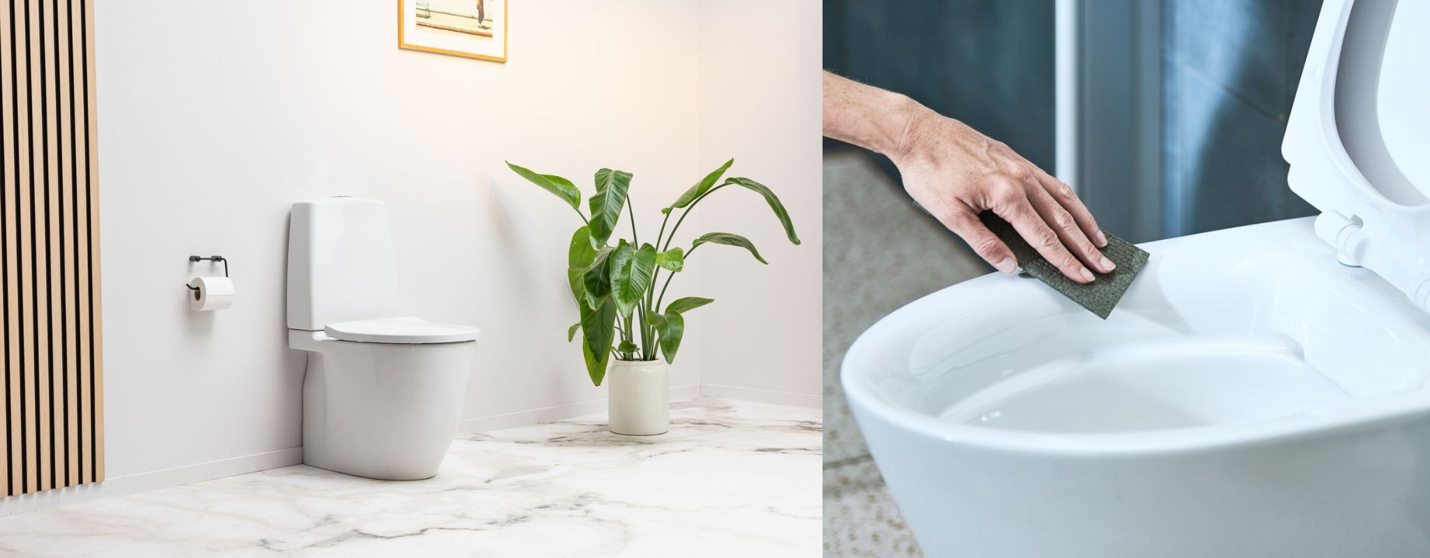 Toilet uden skyllekant